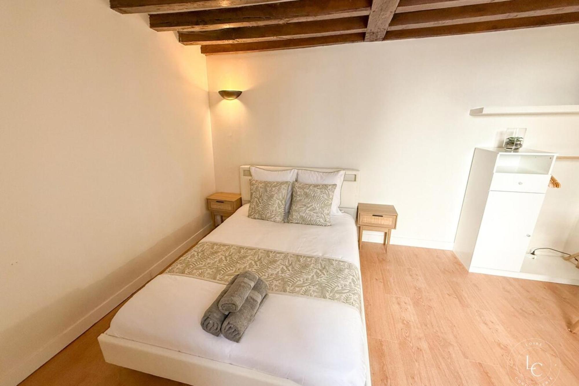 Le Penseur - Terrasse Et 1 - 38m2 * Orleans